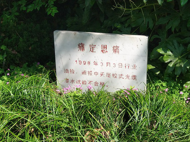 PG电子·仿照器(试玩游戏)官方网站